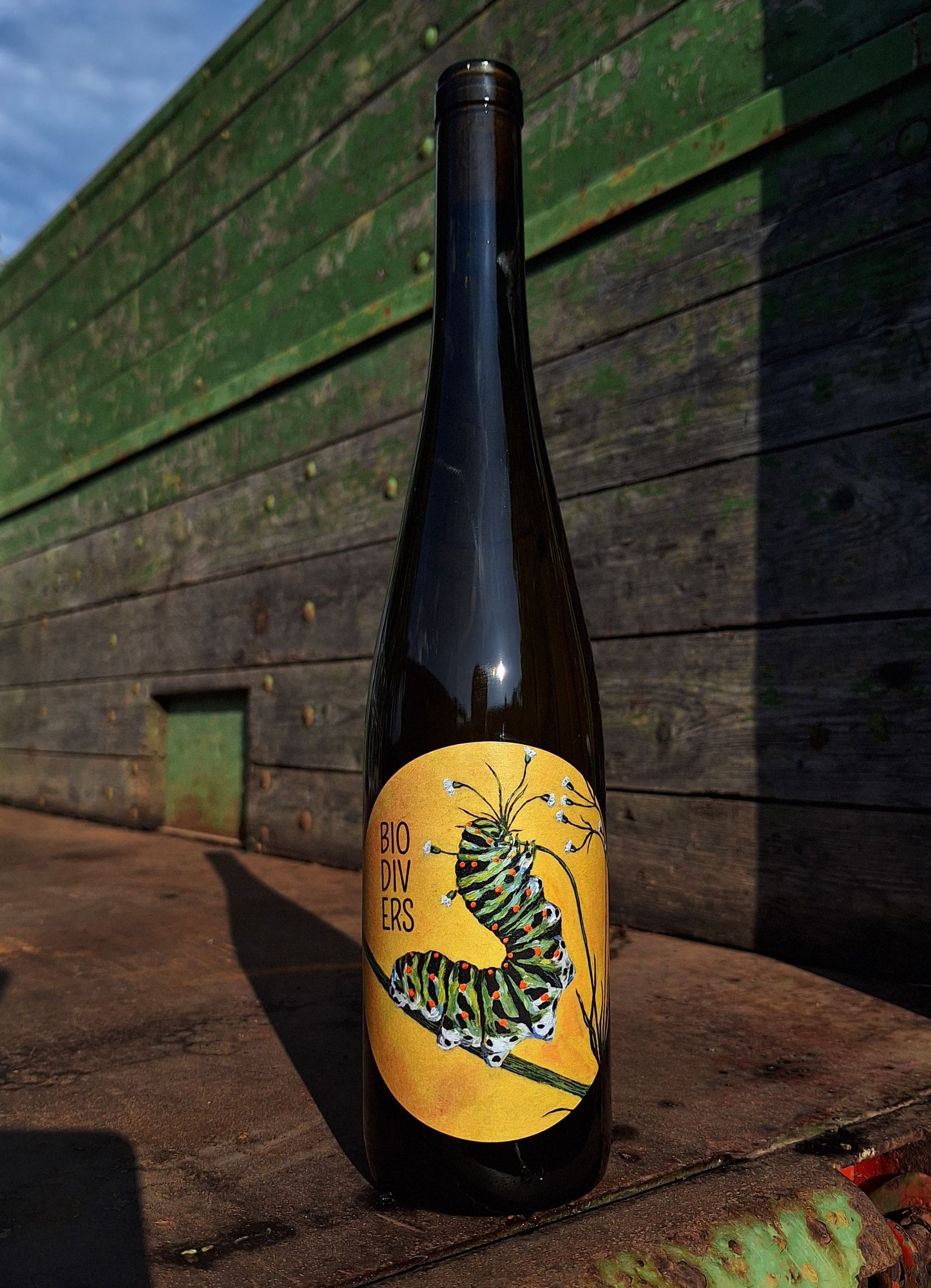 40 Jahre Bioland Jubiläumswein - Riesling BIODIVERS