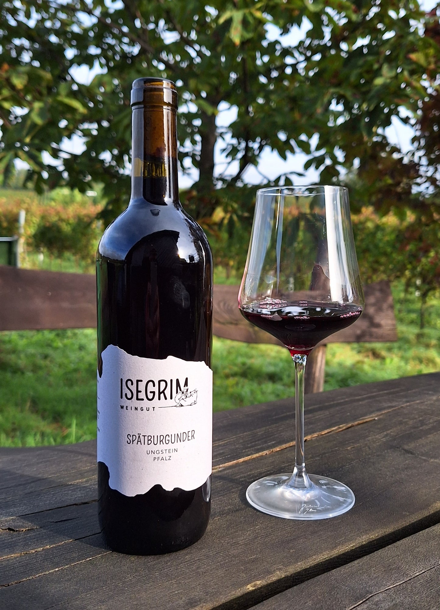 Spätburgunder Ortswein