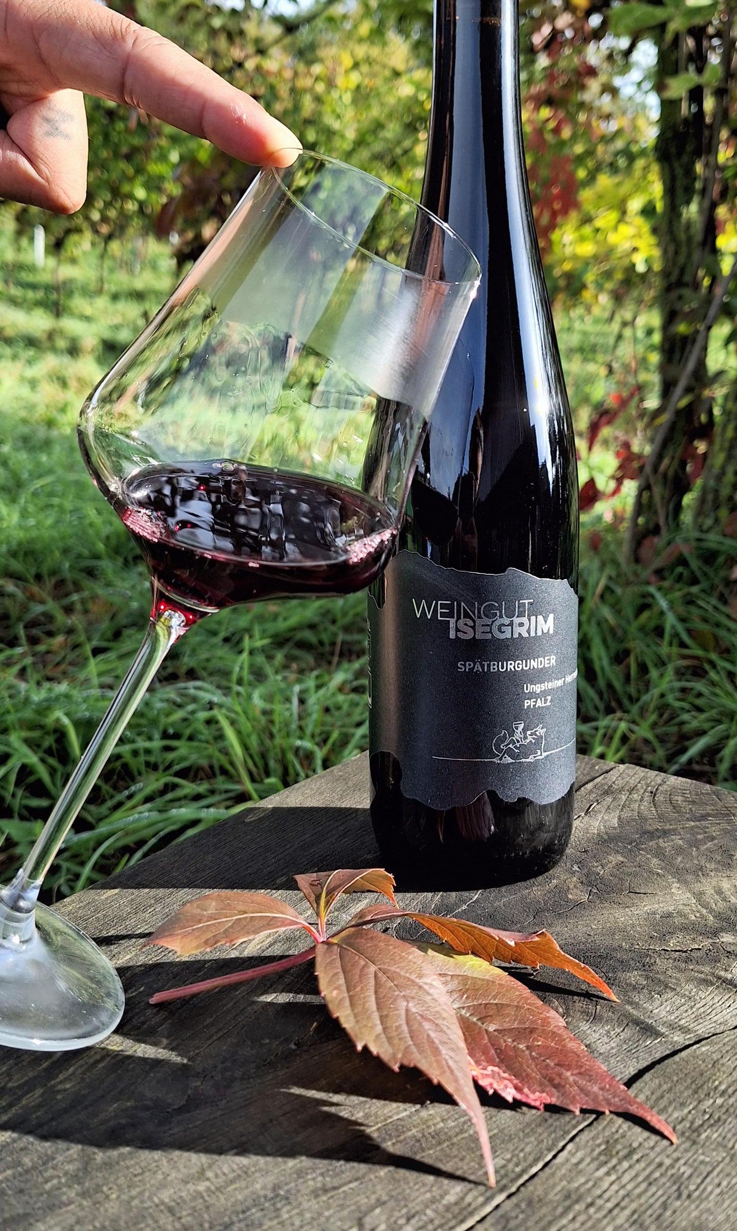 Spätburgunder Herrenberg