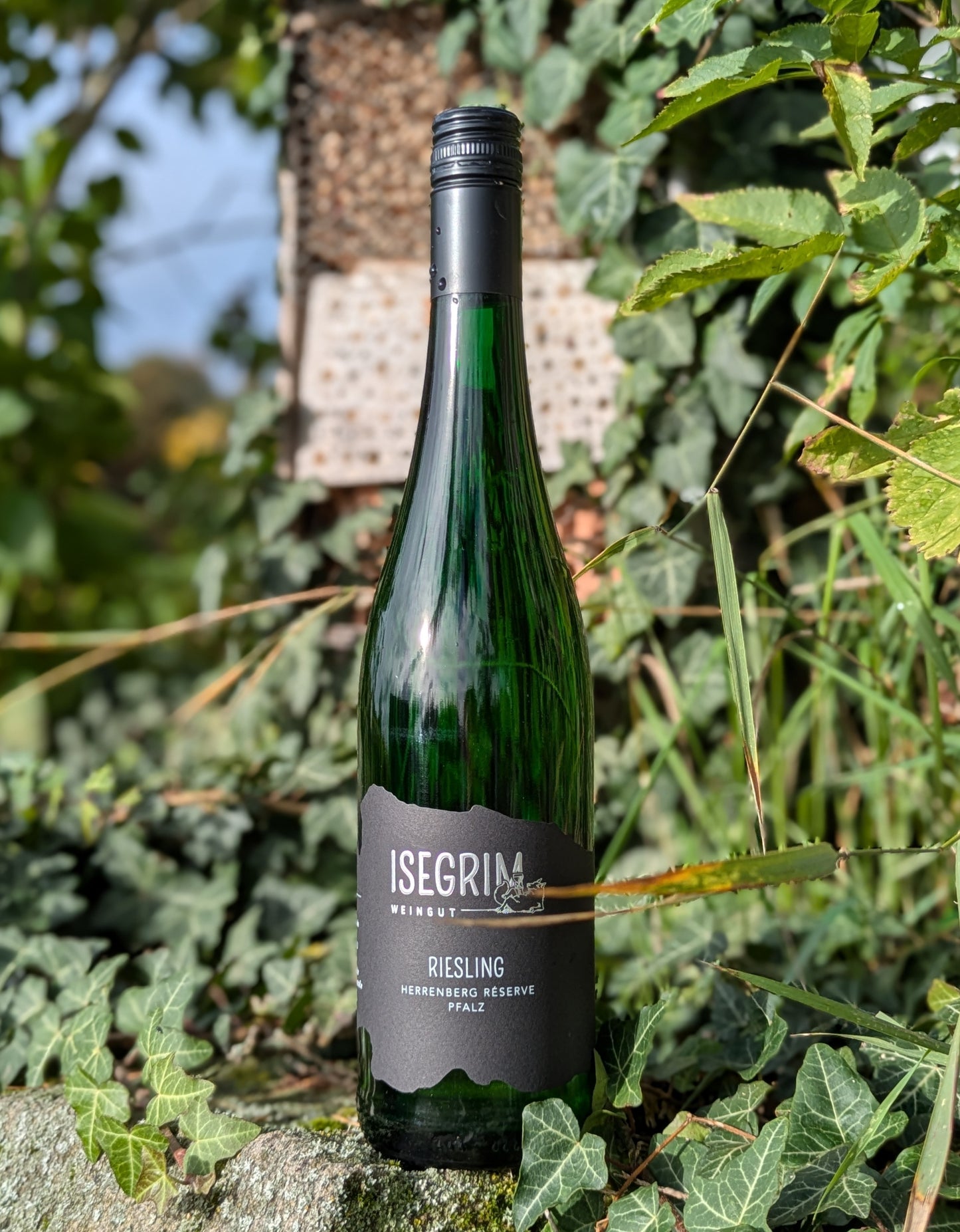 Riesling Herrenberg Réserve