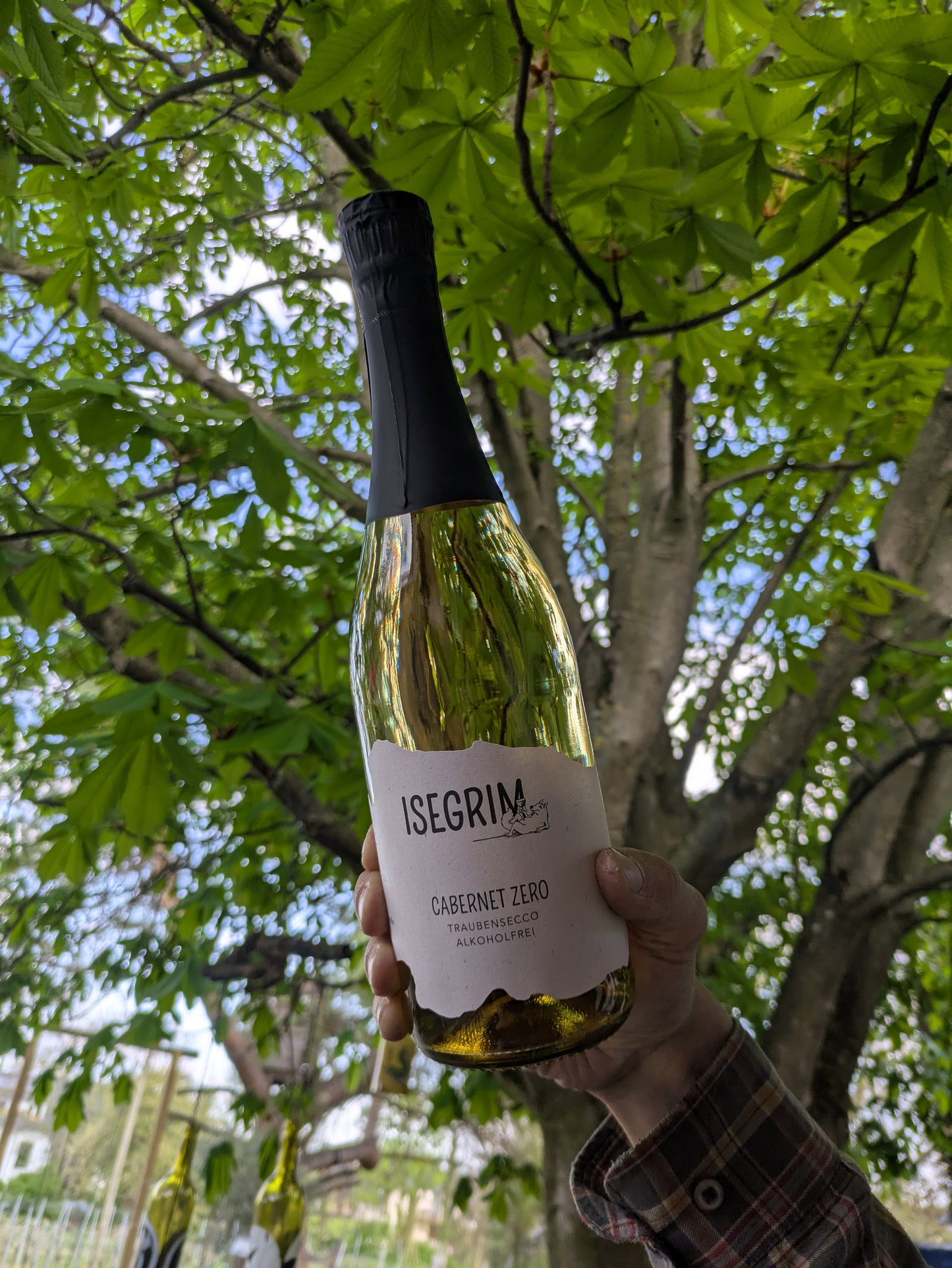 Cabernet Zero - Traubensecco alkoholfrei