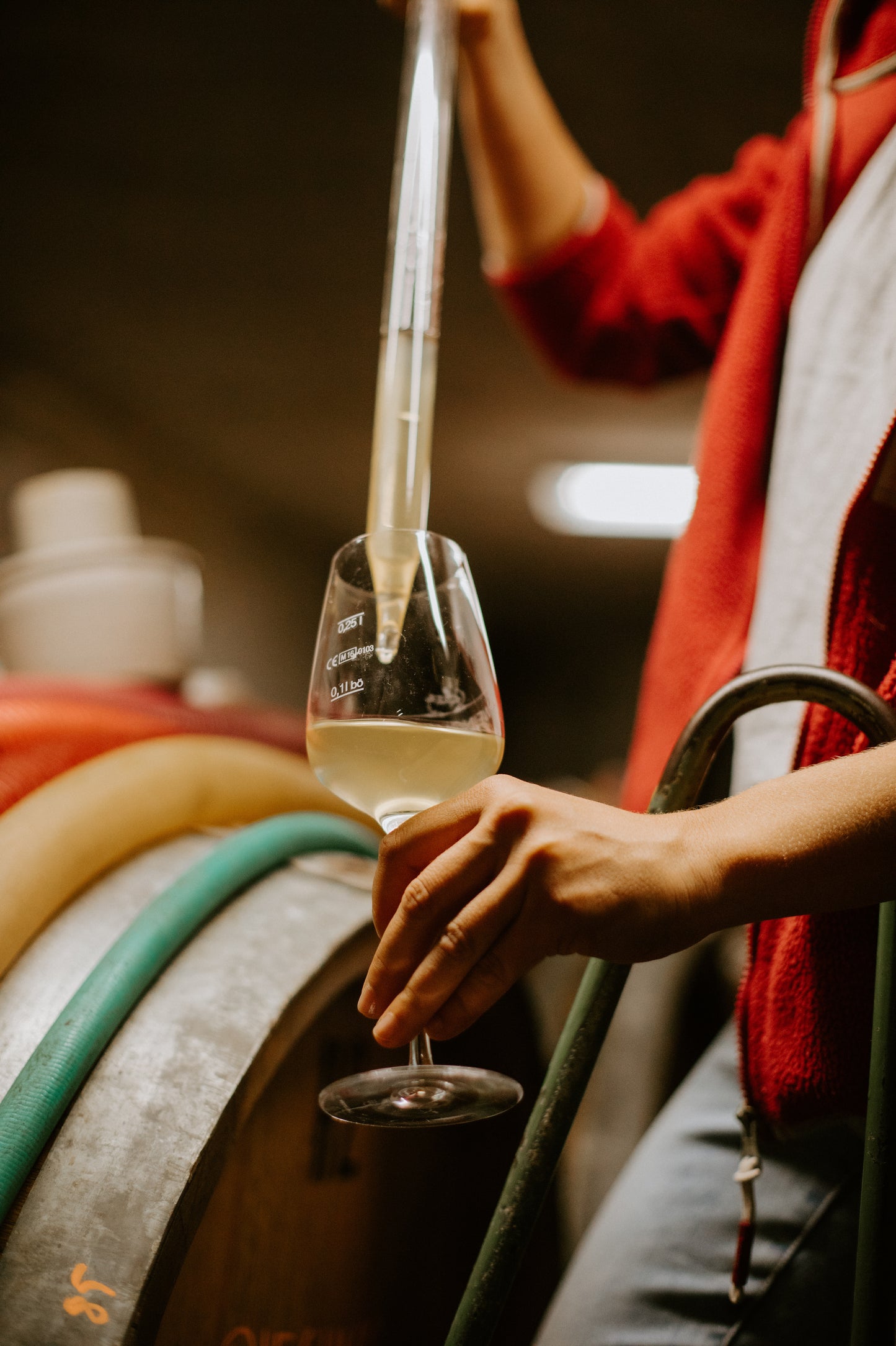 Weissburgunder jazzed up