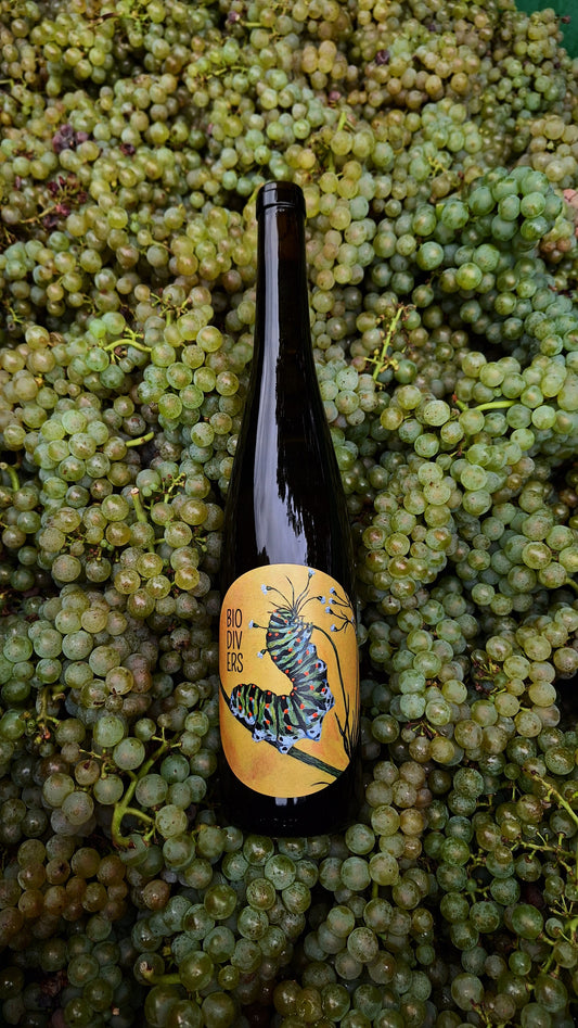 40 Jahre Bioland Jubiläumswein - Riesling BIODIVERS