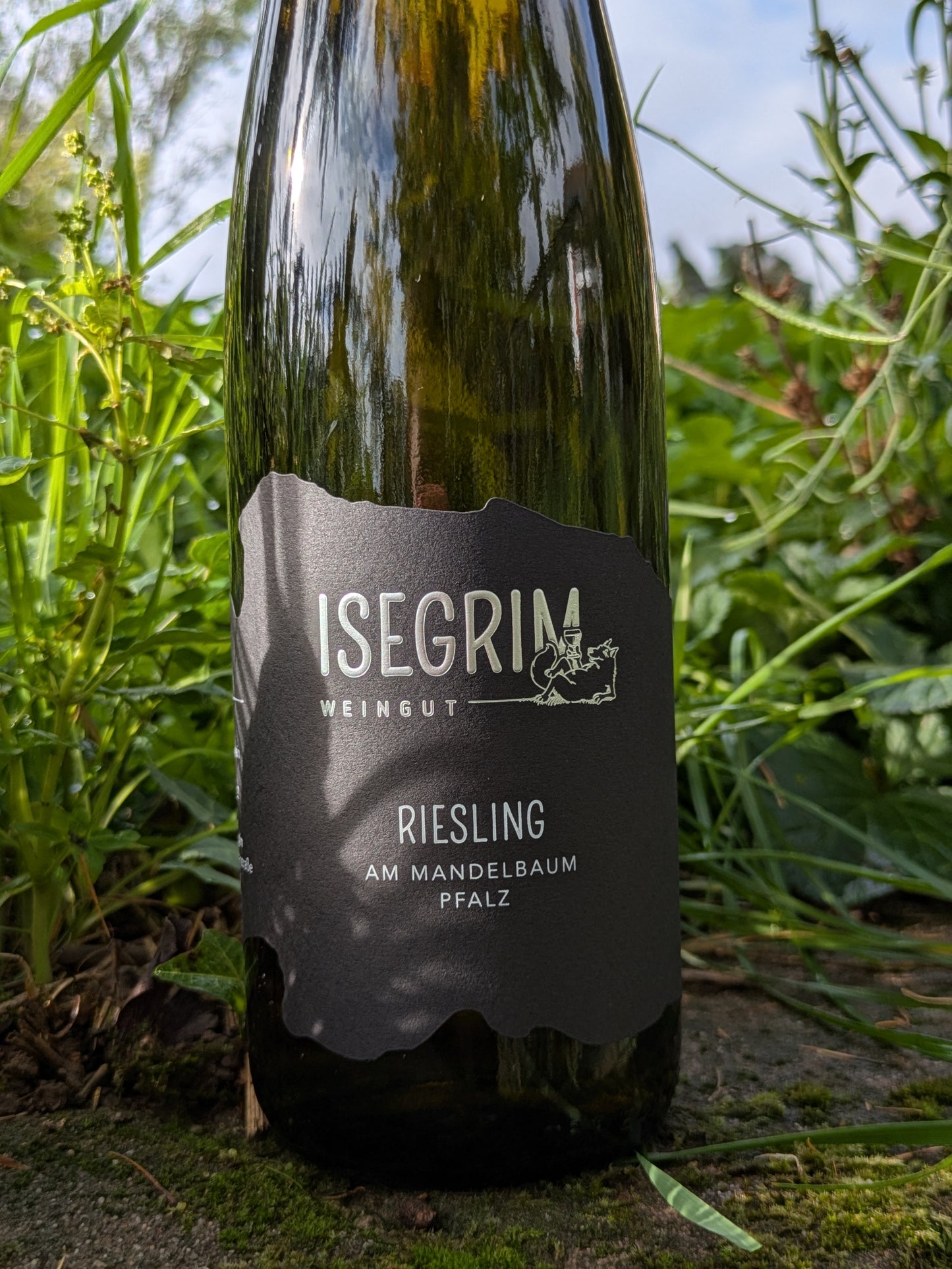 Riesling am Mandelbaum